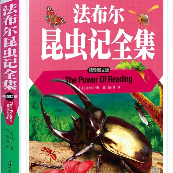 爱儿本